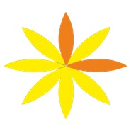Leelaz Jewels Private Limited