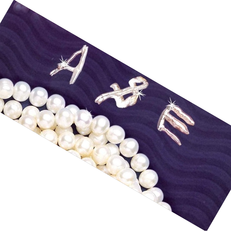 A & E Pearl Company Limited