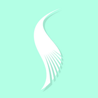Shreeji Jewellers