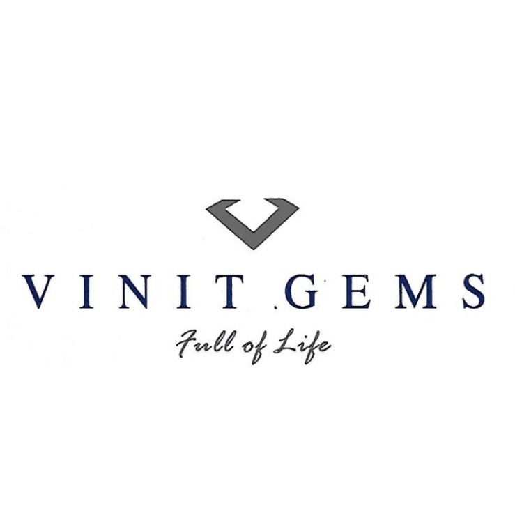 Vinit Gems