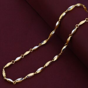 Gold Mens 22K Chain-MTC111