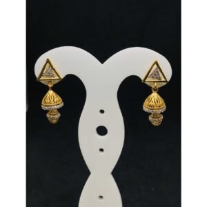 22k Ladies Fancy Gold Earring Er-60039