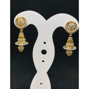 22k Ladies Fancy Gold Earring Er-60029
