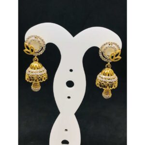 916 Ladies Fancy Gold Earring Er-60025