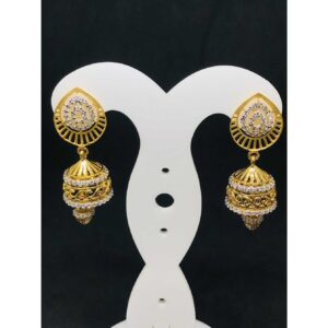 22k Ladies Fancy Gold Earring Er-60024
