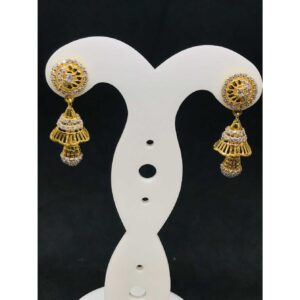916 Ladies Fancy Gold Earring Er-60018