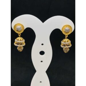 22k Ladies Fancy Gold Earring Er-60017
