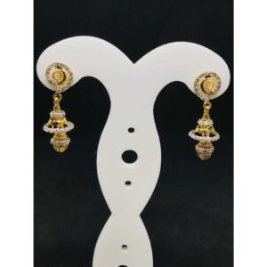 22k Ladies Fancy Gold Earring Er-60013
