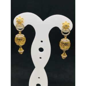 22k Ladies Fancy Gold Earring Er-60012
