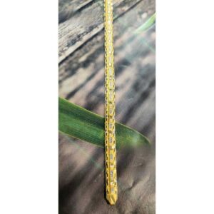 916 Gents Fancy Gold Lucky G-10904