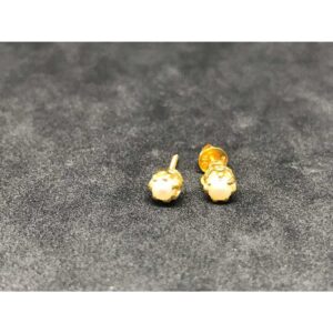 916 Exclusive Fancy Ladies Earring E-62521