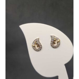 916 Ladies Fancy Tops Earrings
