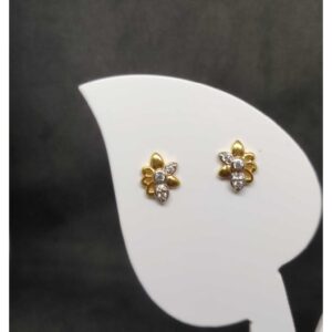 916 Ladies Fancy Tops Earrings