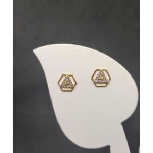 916 Ladies Fancy Tops Earrings
