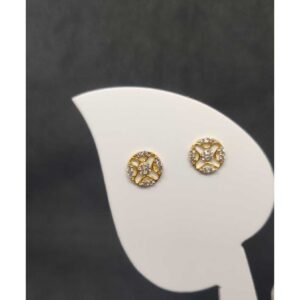 916 Ladies Fancy Tops Earrings