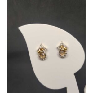 916 Ladies Fancy Tops Earrings