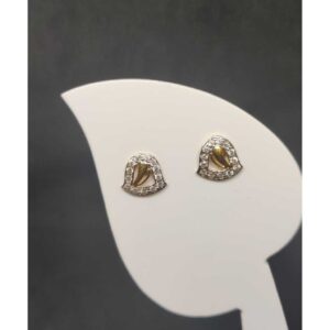 916 Ladies Fancy Tops Earrings