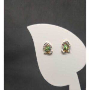 916 Ladies Fancy Tops Earrings