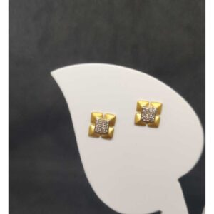 916 Ladies Fancy Tops Earrings