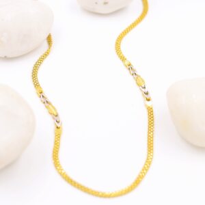 22Kt Captivating Gold Chain