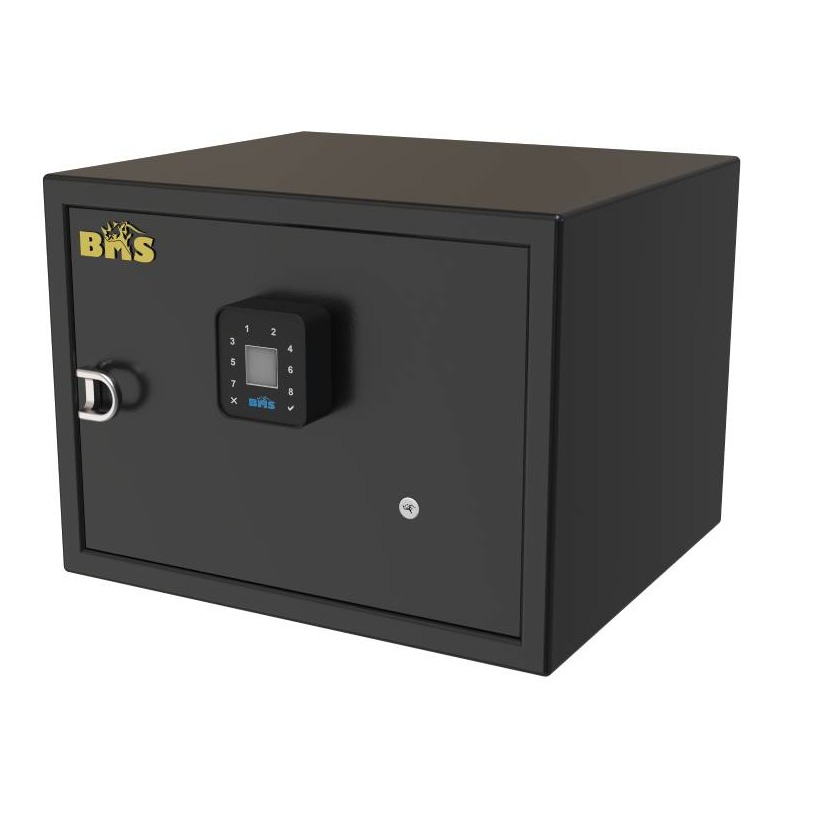 Ornate biometric single door for home jewellery locker