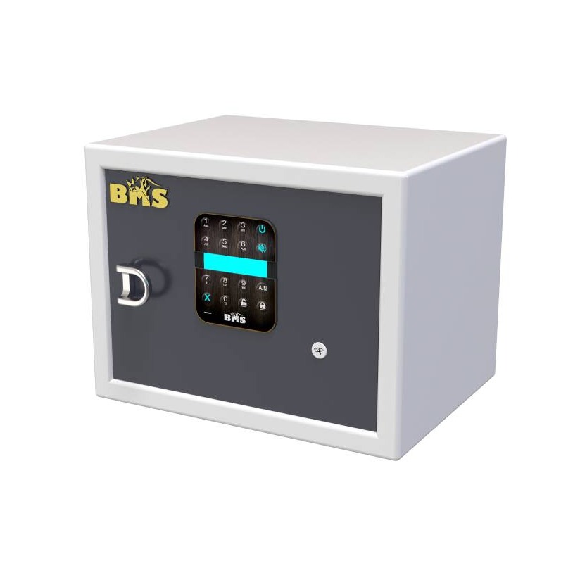 Electro cute locker for home jewellery storage safe