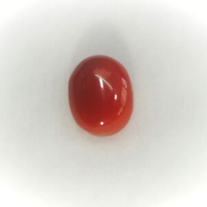 3.73ct oval natural red-coral (mungaa) KBG-C004