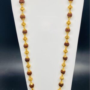Rudraksh kandhi 916