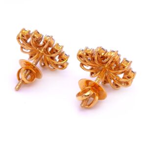 Star world round diamond earring