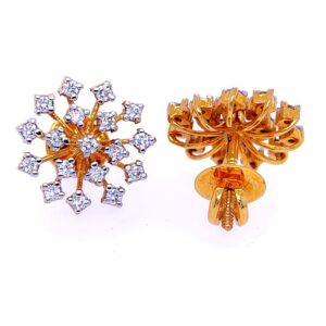 Star world round diamond earring