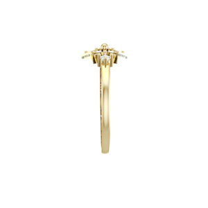 Shine in the box ring