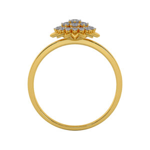 THE EXPLORER RING