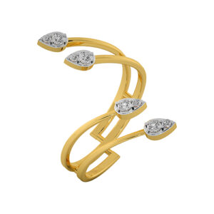 THE SECRET RING