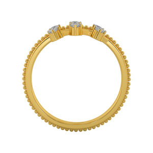THE sACRED rING