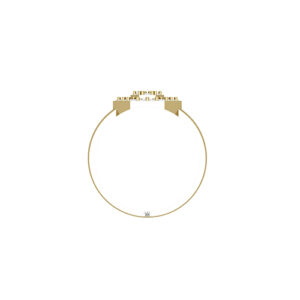 The hexagon ring