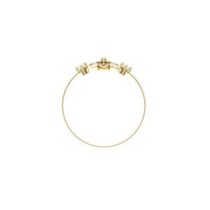 Shine in the box ring