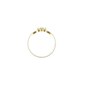 Hold my diamonds ring