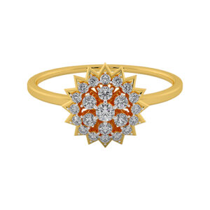 THE EXPLORER RING