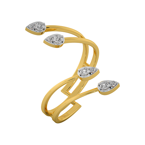 The secret ring