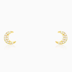 The golden crescent zircon earrings