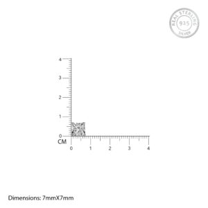 Silver square zircon studs