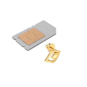 916 Gold Gorgeous Earring BERP046