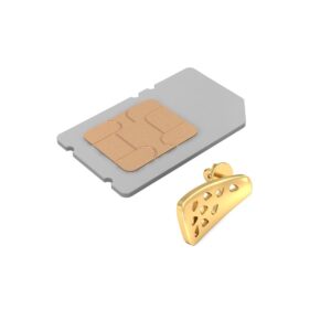 916 Gold Shining Earring BERP032