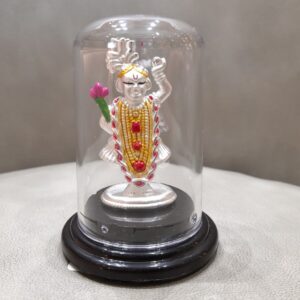 Silver 999 Shreenathji
