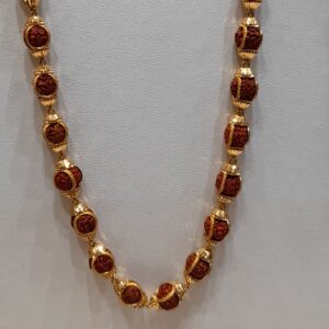 91.6 rudraxsh fancy mala