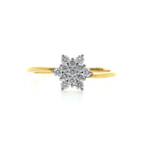 Thirteen Diamond Star Ring in 18k Yellow Gold - VVS EF - 25 cents - 2.010 grams - 0LR54