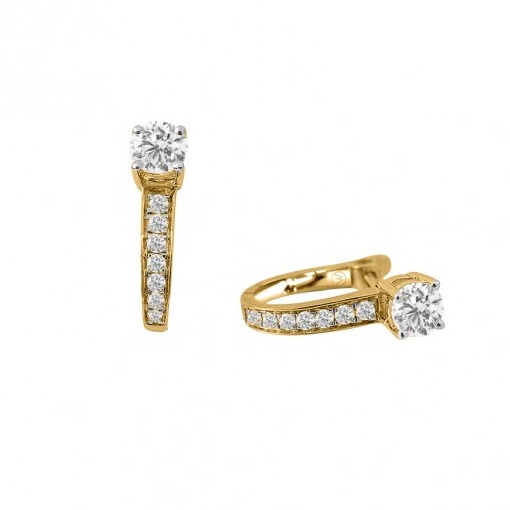Petite hoop earrings