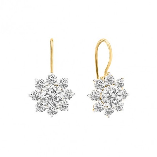 Ornate sparkle earrings