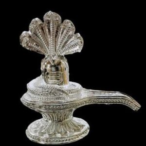 925 Silver Solid Shiv Idol