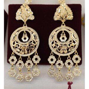 Ladies earrings